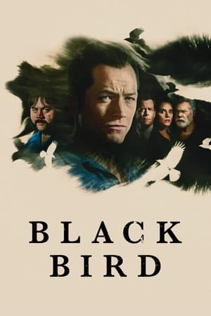 Black Bird 1x5 cover