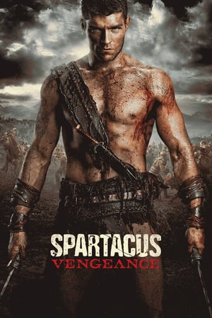 Spartacus: Vengeance 1x8 cover
