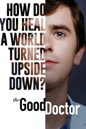 The Good Doctor 3x17 cover