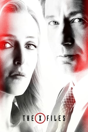 The X-Files 1x13 cover